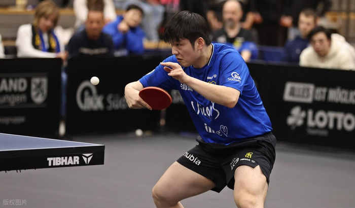 v站体育-从巴黎奥运金牌到伦敦世乒赛弃权！樊振东这2年，到底经历了什么|乒协|国乒|巴黎奥运会|wtt赛事|男单决赛_新浪体育_新浪新闻