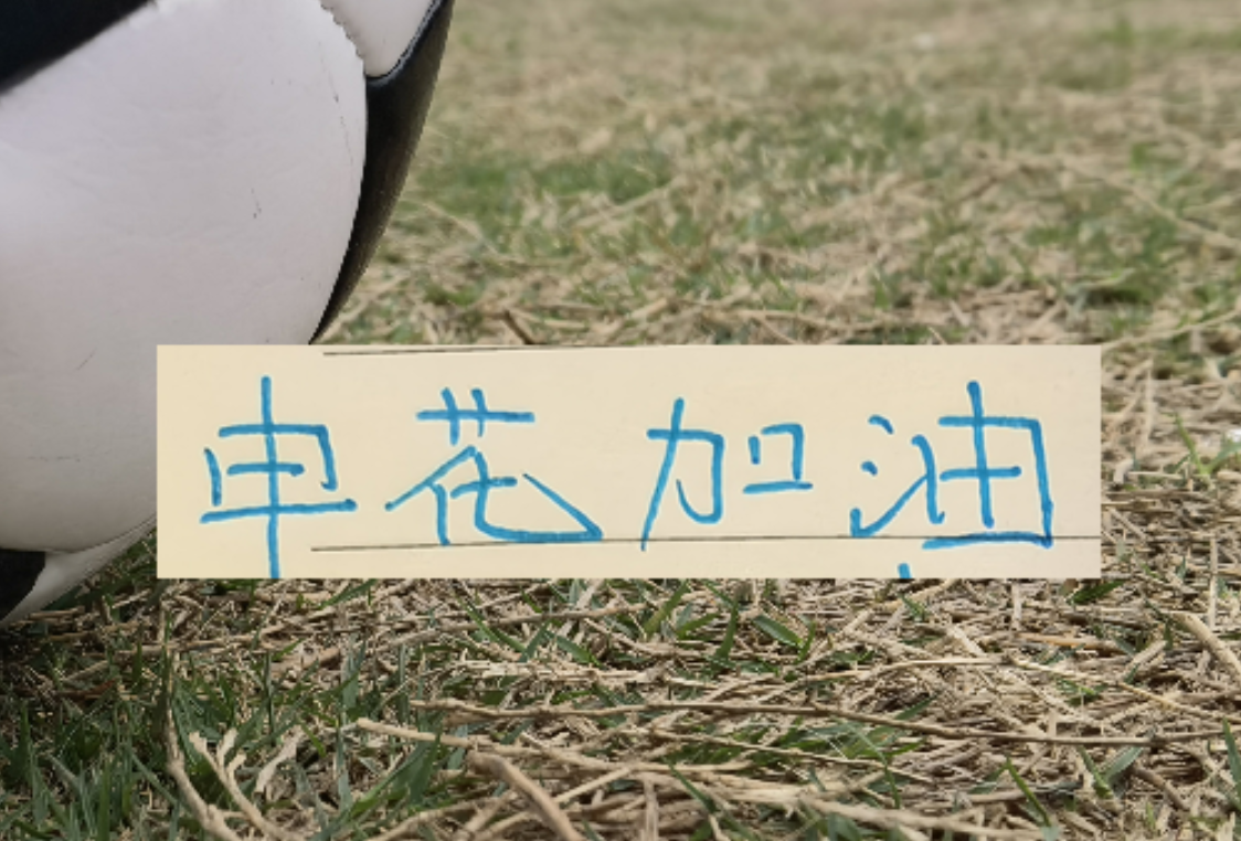 v站-如果没有罚分的话！申花应该是夺冠热门 而不是在保级区域擦边